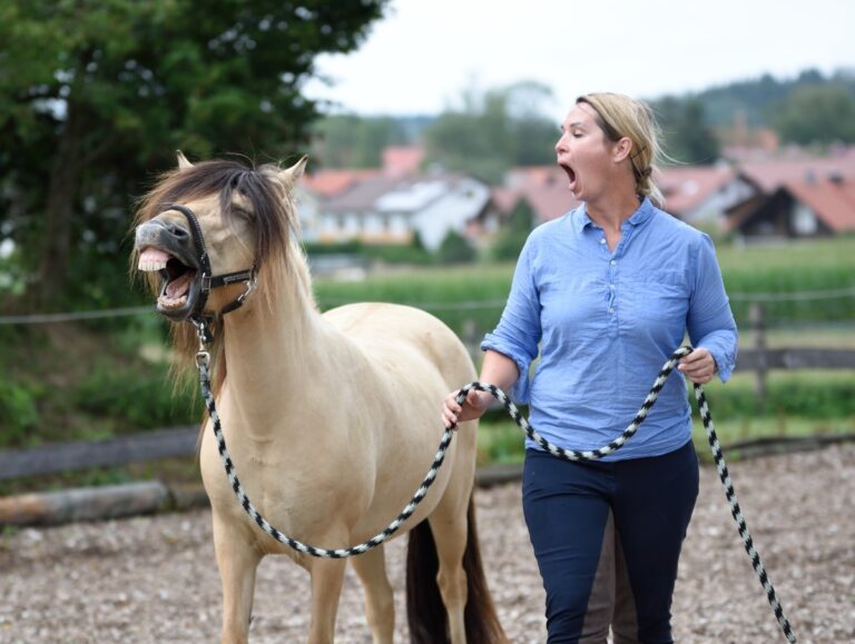 Horse Speak mit Kirsti Ludwig