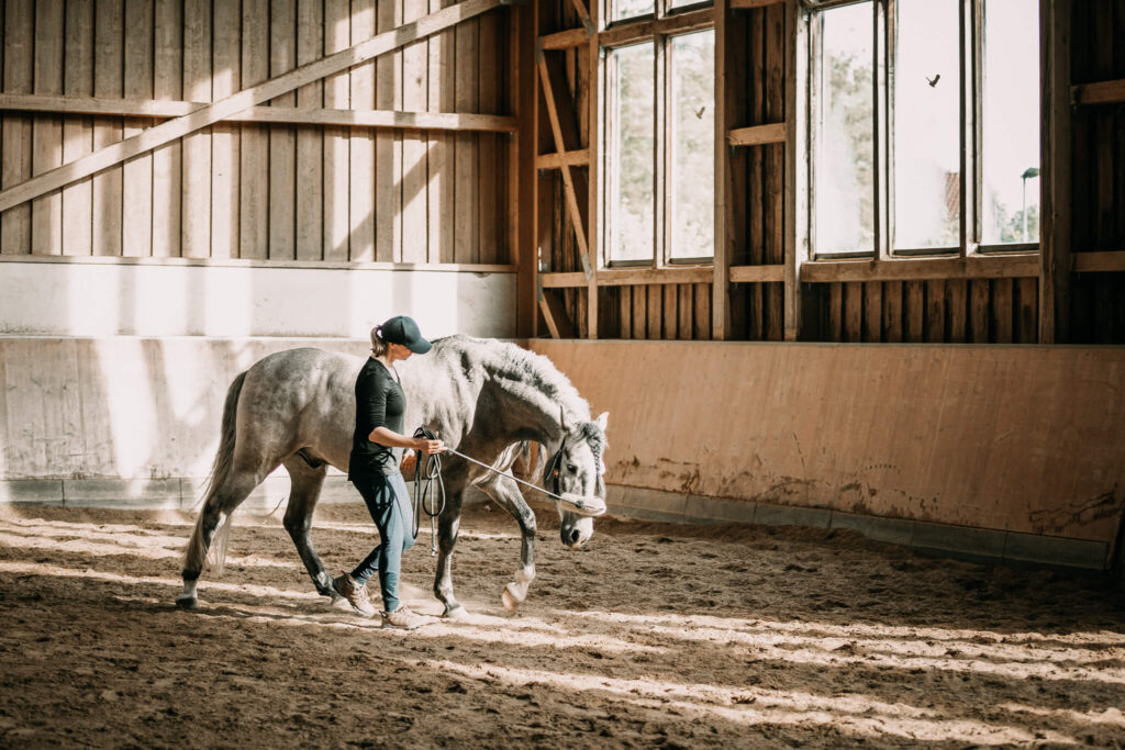 Holistic Horse Festival - Mai 2024 - Bildergallerie (5)