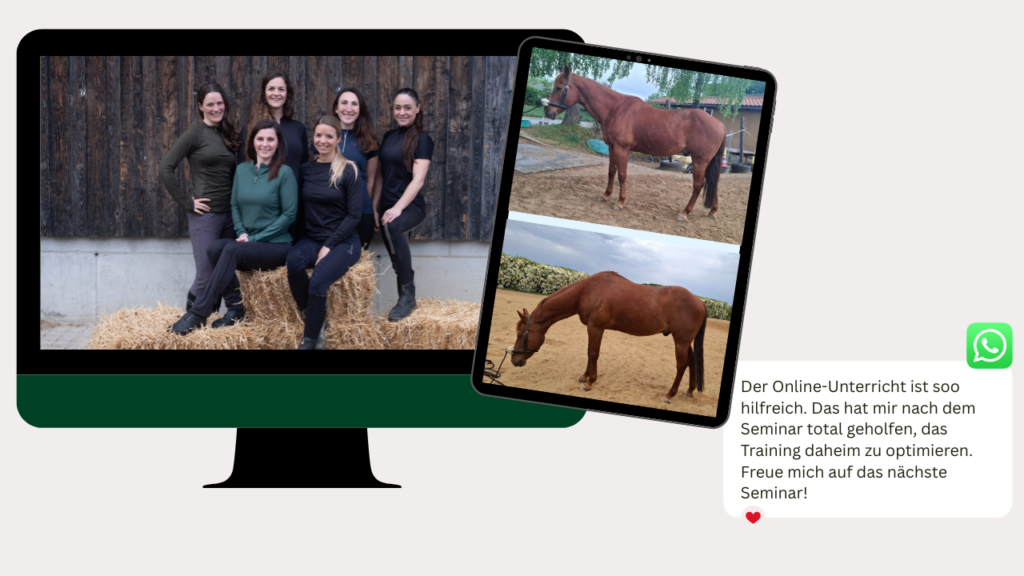 Online-Unterricht Tensegrales Pferdetraining