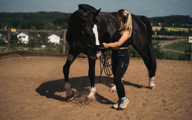 Faszientraing Pferd - Horse tensegrity Training Hannah Berlochner Nike Hertenstein (108)
